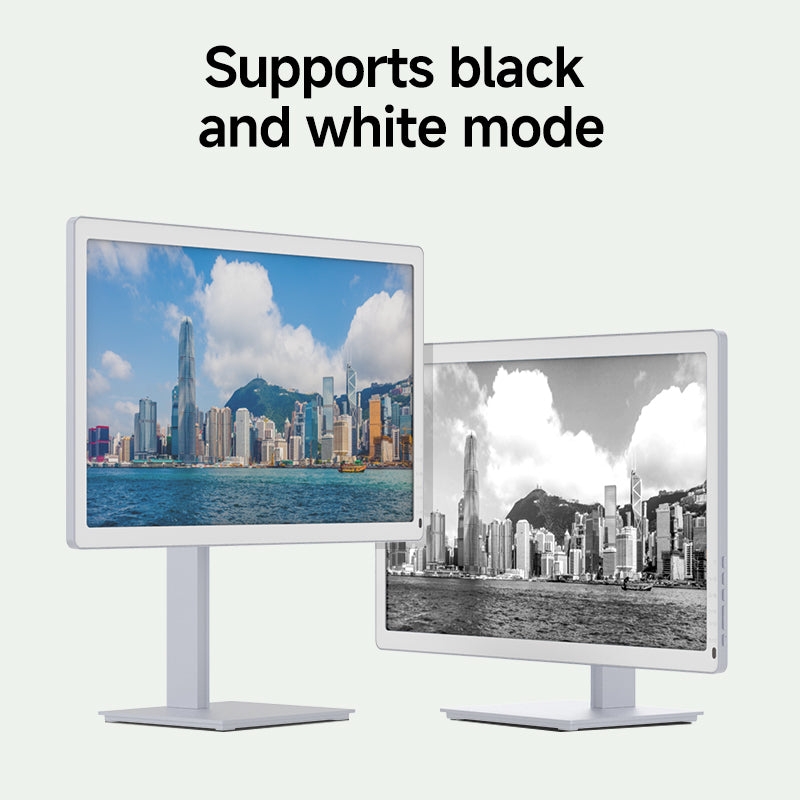 Bigme B251 PRO 25.3