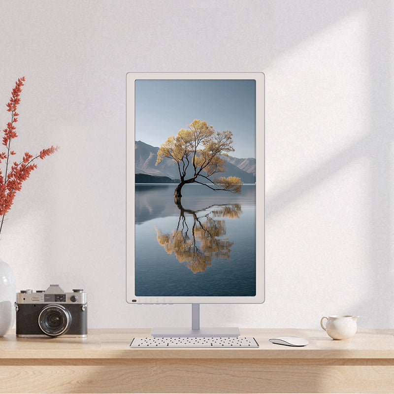 Bigme B251 PRO 25.3