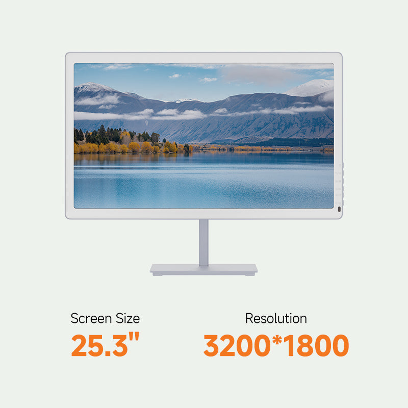 Bigme B251 PRO 25.3