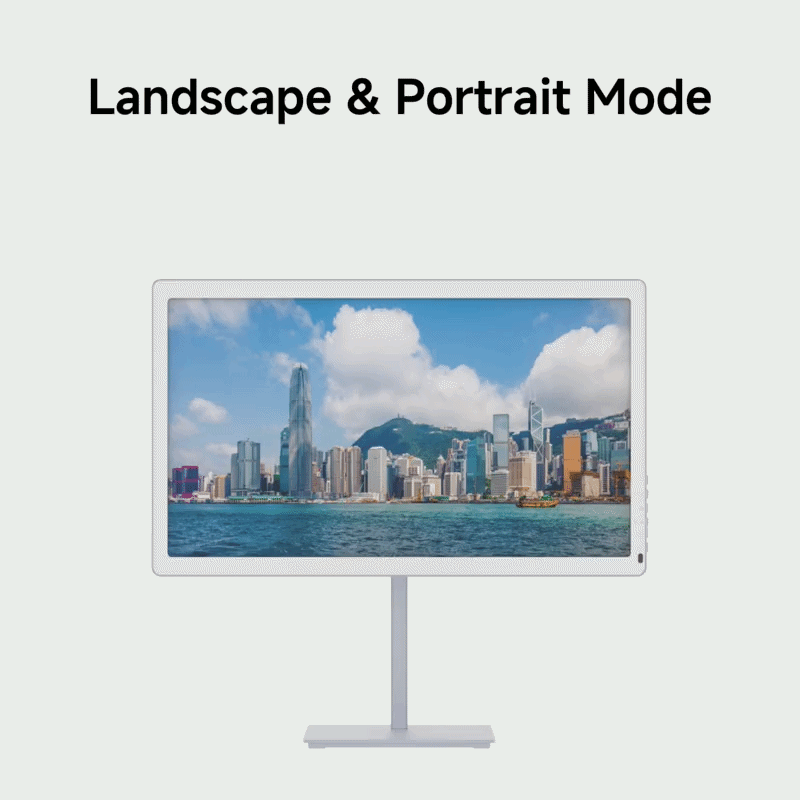 Bigme B251 PRO 25.3