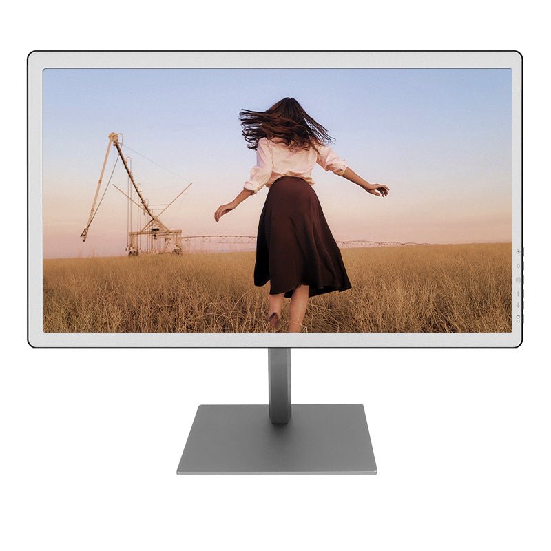 B251--World's 1st All-in-one PC and monitor with E Ink Color Display Monitor-7 items included 25.3inch Monitor all-in-one PC color eink monitor eink all in one PC Eink Monitor spo-cs-disabled spo-default spo-disabled spo-notify-me-disabled Morden remarkable Eink Tablet for digital reading